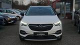 Opel Grandland (X)*LED*360°*LEDER*NAVI*ACC*181-PS*1HD - Opel Grandland (X) in Ludwigshafen