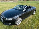 Audi A5 Cabriolet 3,0 TDI Quattro - Audi Cabriolet Gebrauchtwagen