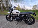 Triumph Street Scrambler 900 - sehr gepflegt m. Garantie - TRIUMPH SCRAMBLER