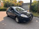 Fiat Punto TÜV 12/25 - Fiat Punto in Köln