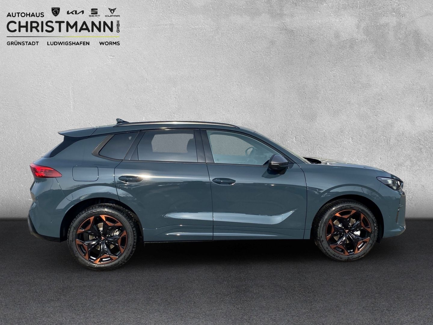Fahrzeugabbildung CUPRA Terramar 1.5 eTSI 110 kW EU6e digitales Cockpit