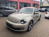 Volkswagen Beetle Cabriolet Sport.Leder.Xenon.Kamera.Navi. - : Roadster, Sport