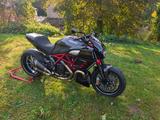 Ducati Diavel Carbon | gepflegt | Termignoni - DUCATI DIAVEL CARBON