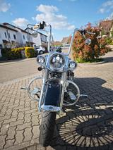 Harley-Davidson Softail Deluxe FLSTN  Chicano Vicla - Motorräder in Mannheim