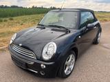 MINI COOPER Cabrio 1.6 Sport - MINI MINI aus 2006: Cabrio