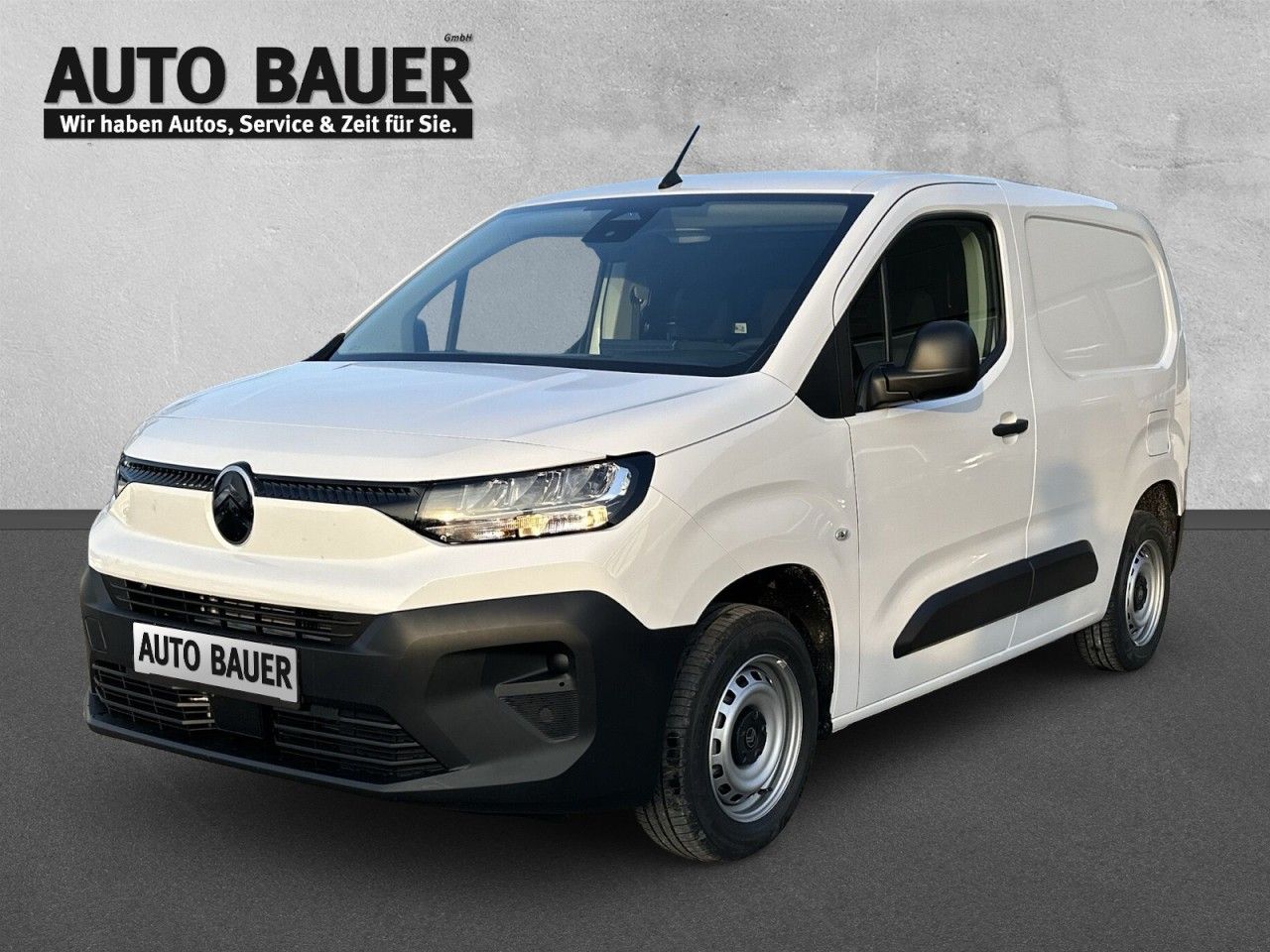 Fahrzeugabbildung Citroën Berlingo Kastenwagen M Diesel 100