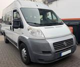 Fiat Ducato Maxi 3.0 CNG Erdgas 9-Sitzer - Fiat Ducato in Essen