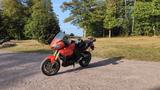 Triumph Tiger 1050 - Angebote