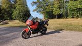 Triumph Tiger 1050 - Angebote entsprechen deinen Suchkriterien