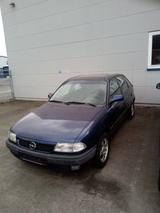 Opel Astra 1.6 GLS GLS - Opel Astra: Gls