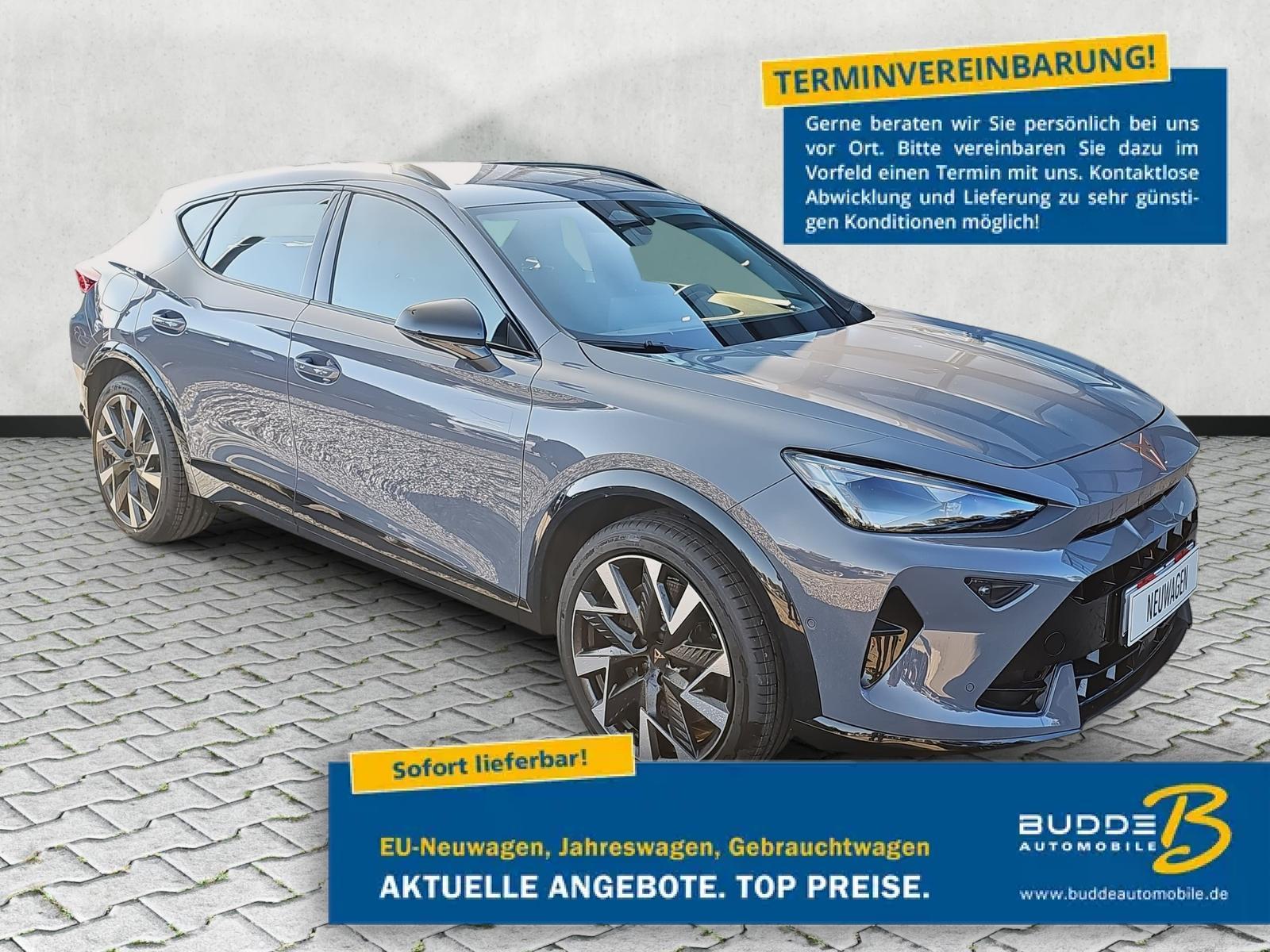 Cupra Formentor VZ 2.0 TSI DSG 4Drive 5JGar Matrix AHK