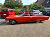 Ford Oldtimer T-Bird Cabrio 1964 H-Zulassung - Ford Thunderbird: Roadster
