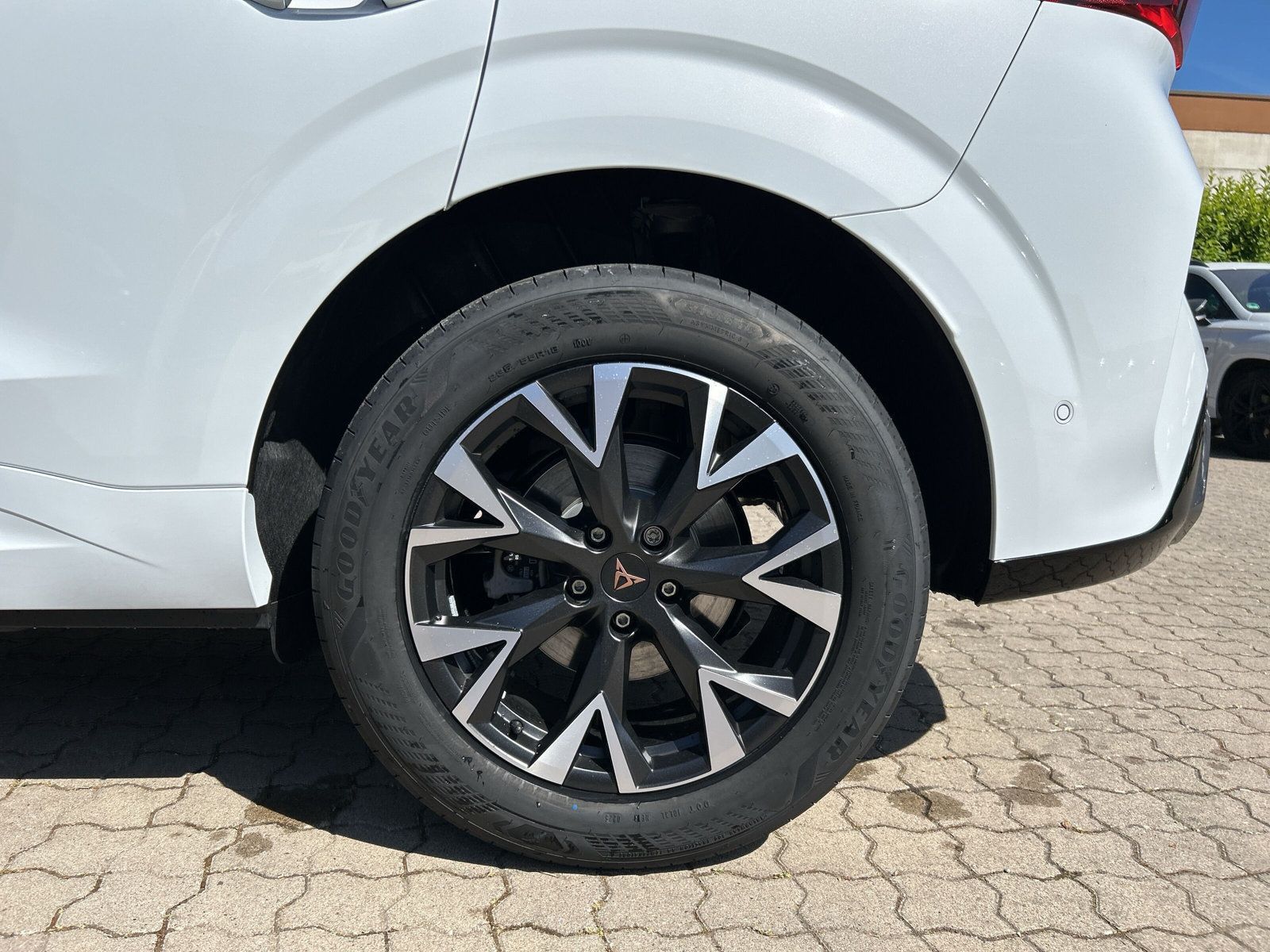 Cupra Terramar - Bild 18