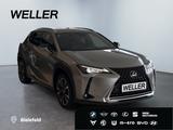 Lexus UX 250h Style Edition *Bi-LED*ACC*CAM*SHZ*WKR*Ca - Lexus Gebrauchtwagen von 2022