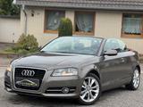 Audi A3 Cabriolet Ambition - Audi A3: Cabrio, Ambition