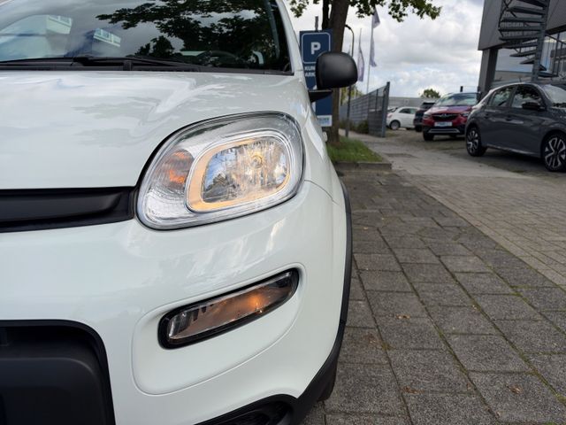 Fiat Panda Base Mild Hybrid 1,0 Klima+ZV+Radio