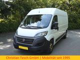 Fiat Ducato Maxi Kasten 35 140 L4H2 - Fiat Gebrauchtwagen von 2020