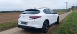 Alfa Romeo Stelvio 2.2 Diesel 16V 154kW B-Tech AT8-Q4 B... - gebrauchte Alfa Romeo Stelvio aus dem Jahr 2019