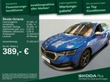 Skoda Octavia Combi 2.0 TDI Scout 4x4 *DSG*APP*AHK*LED - Skoda Gebrauchtwagen in Kiel