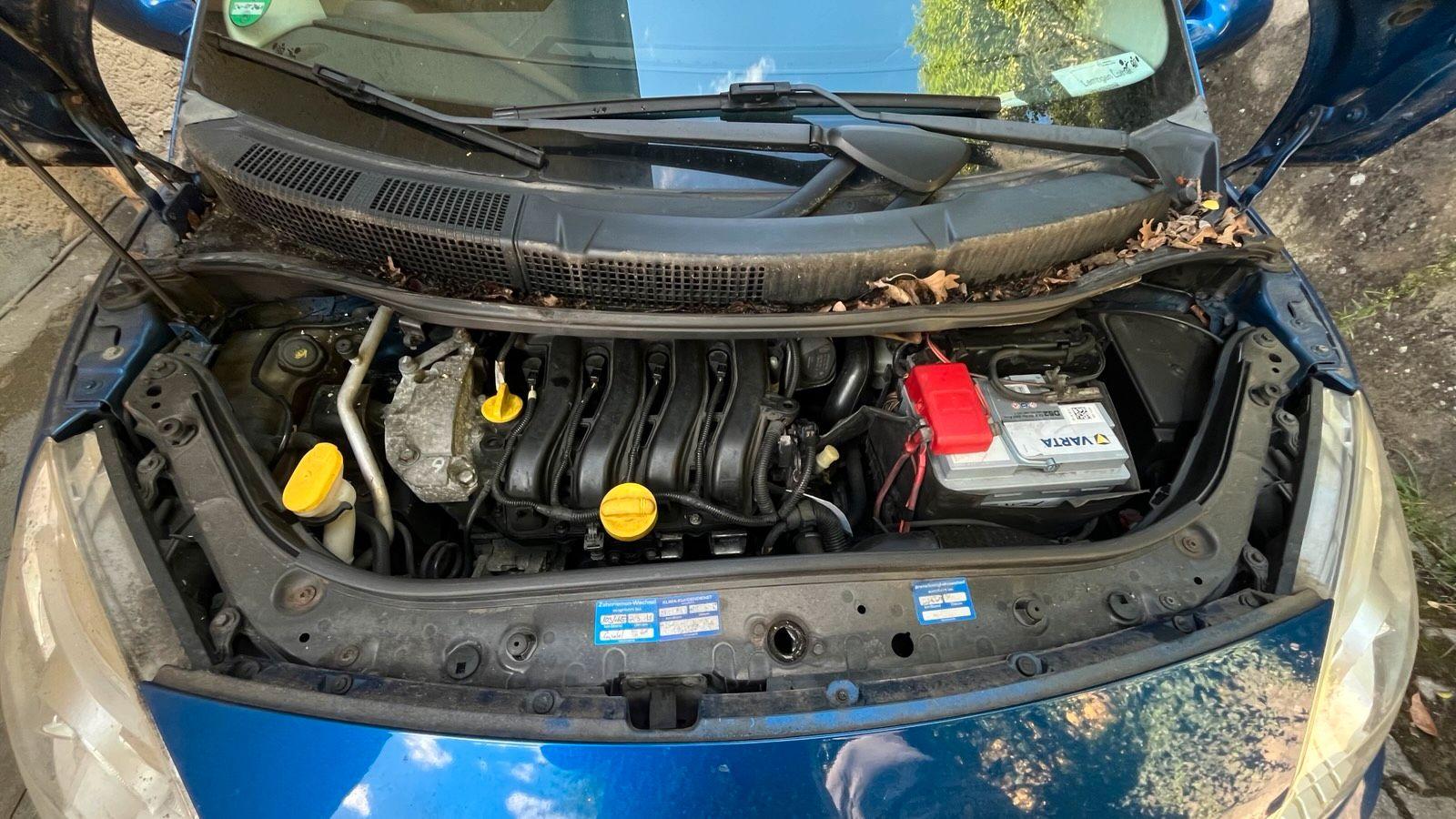 Renault Scenic 2006 — photo 13