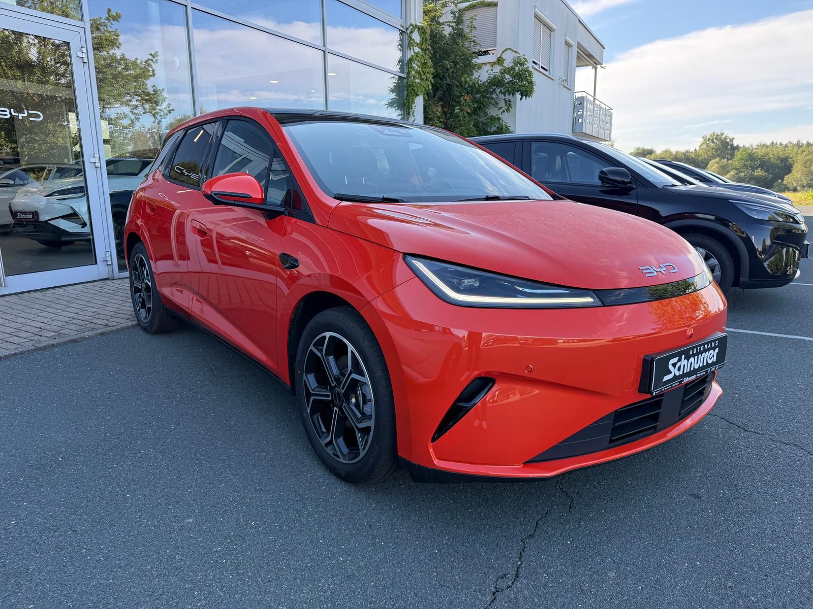 BYD DOLPHIN