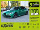 Alfa Romeo Giulia QUADRIFOGLIO *Akrapovic*Leder* - Alfa Romeo Giulia Akrapovic Gebrauchtwagen