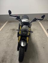 Benelli Leoncino 800 - BENELLI LEONCINO 800