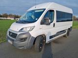 Fiat Ducato 3l CNG .Renntransporter    TAU... - Fiat Ducato in Herne