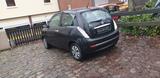 Lancia Ypsilon 1.2 8v Ypsilon - - Lancia Ypsilon von privat