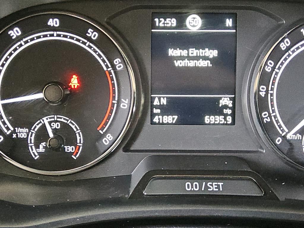 Fahrzeugabbildung SKODA Fabia 1.0 TSI DSG Ambition-NAVI-LED-KAMERA-SHZ-