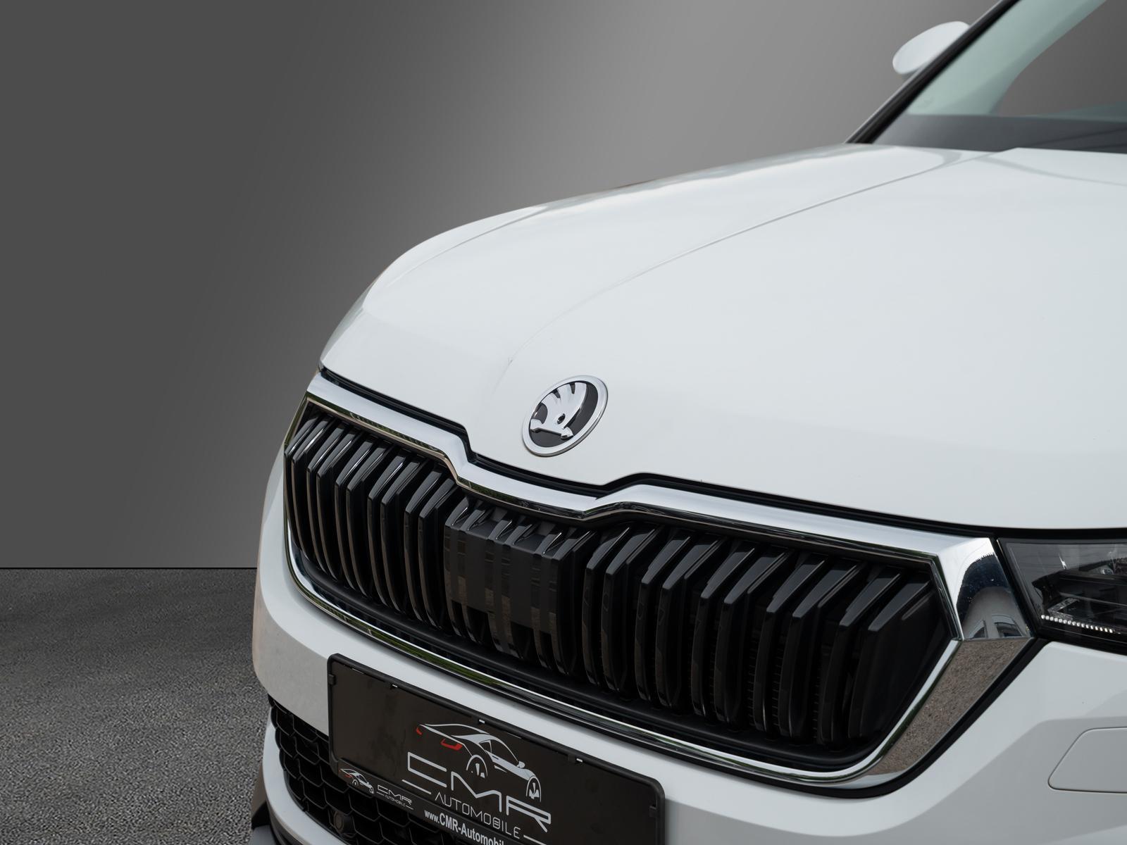 Skoda Kodiaq Ambition Tour AHK DAB+ SunSet Amundsen, миниатюра 9