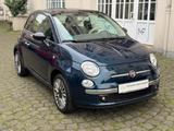 Fiat 500 Cult Panorama/Klimaautomatik - Fiat 500 Gebrauchtwagen in Wuppertal