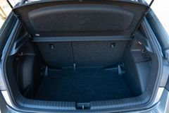 Fahrzeugabbildung Skoda Fabia Monte Carlo