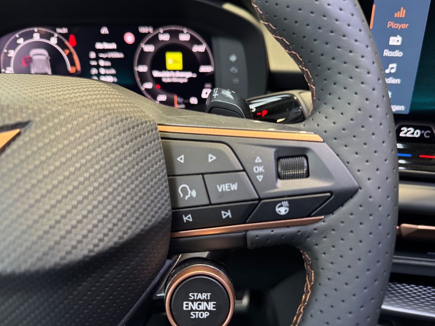 Cupra Terramar - Bild 23