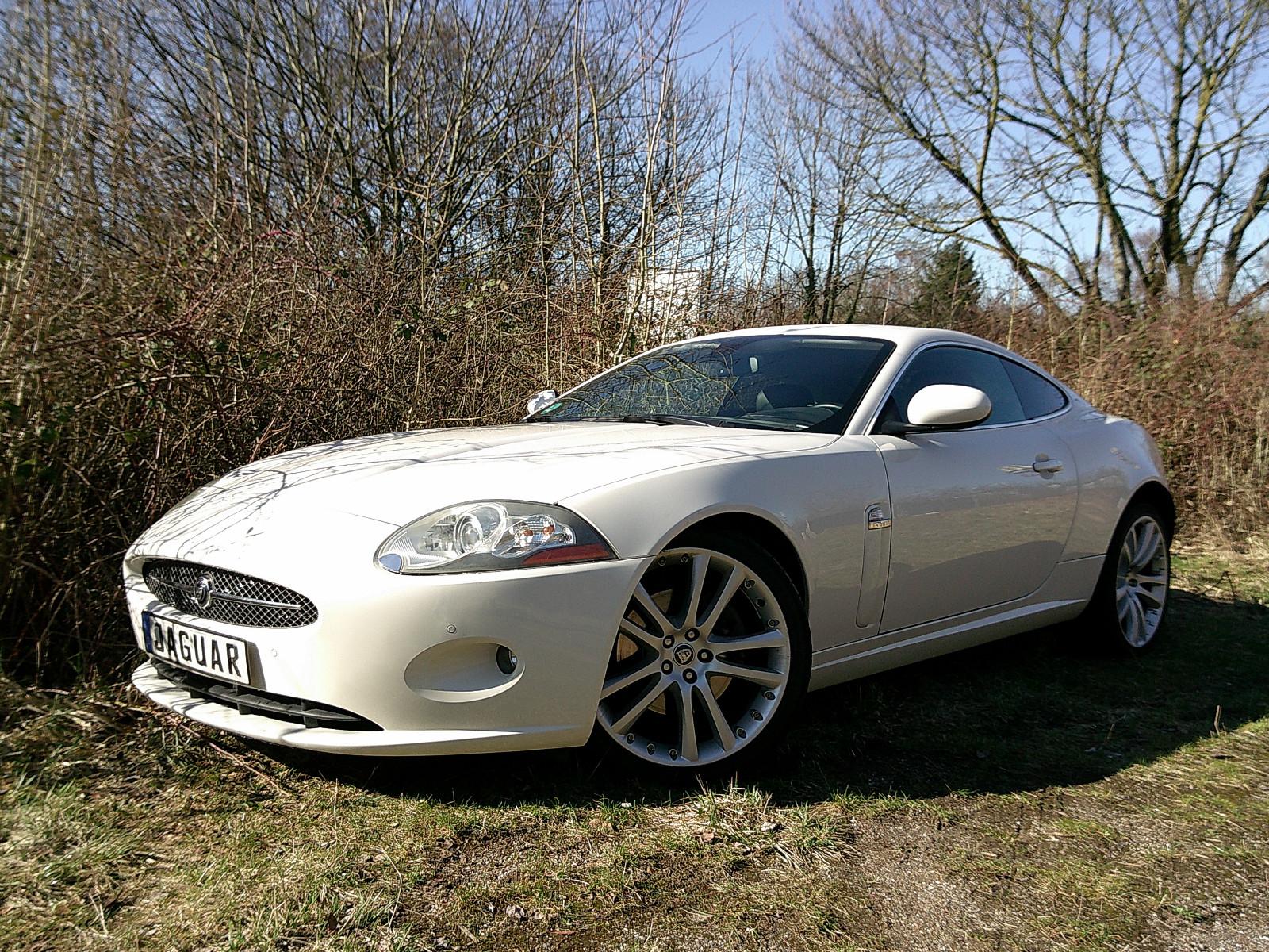 Jaguar XK8- Und? Wer hat Lust auf eine weiße Siamkatze?