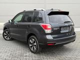 Subaru Forester 2.0D Exclusive - Subaru Forester mit Diesel-Antrieb