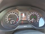 Skoda Octavia 2.0 TDI Green tec DSG RS Combi Tempom.ak - Skoda Octavia: Combi Tec
