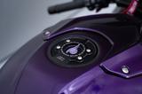 BMW S1000RR 2021 mit Garantie und vielen Extras - BMW 2V