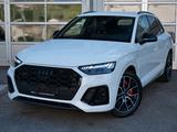 Audi SQ5 3.0TDI 360°+AHK+LANE+20 ZOLL+MATRIX+KEYLESS - Audi SQ5 Gebrauchtwagen in Stuttgart