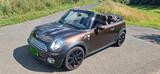 MINI Mini Cooper R57 Cabrio Braun Retro Leder O... - MINI MINI aus 2009: Cabrio