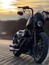 Harley-Davidson Sportster 883 Iron - HARLEY-DAVIDSON 2012 SPORTSTER