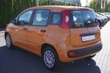 Fiat Panda 1.0 Mild Hybrid City Life Sitzheizung DAB - Fiat Panda Gebrauchtwagen in Berlin