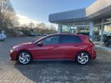 Volkswagen Golf VIII GTI 2.0 TSI DSG PDC Navi ACC Sitzhzg L - Volkswagen Golf: Viii