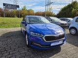 Skoda Octavia Combi 2.0 TDI DPF Style (EURO 6d) - Skoda Octavia: Eu