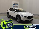 Mazda CX-30 SKYACTIV-G 2.0 M Hybrid 6GS SELECTION - gebrauchte Mazda CX-30 aus dem Jahr 2022