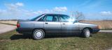 Audi 100 C3 Typ 44 Diesel, H-Zulassung , A... - Audi 100: 44