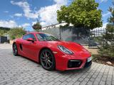 Porsche Cayman GTS PDK - Porsche Cayman GTS