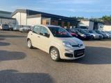 Fiat Panda Easy/Tüv Neu/Klima/elekt.fensterh./KD Neu - gebrauchte Fiat Panda aus dem Jahr 2016