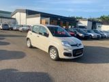 Fiat Panda Easy/Tüv Neu/Klima/elekt.fensterh./KD Neu - Fiat Panda: Easy