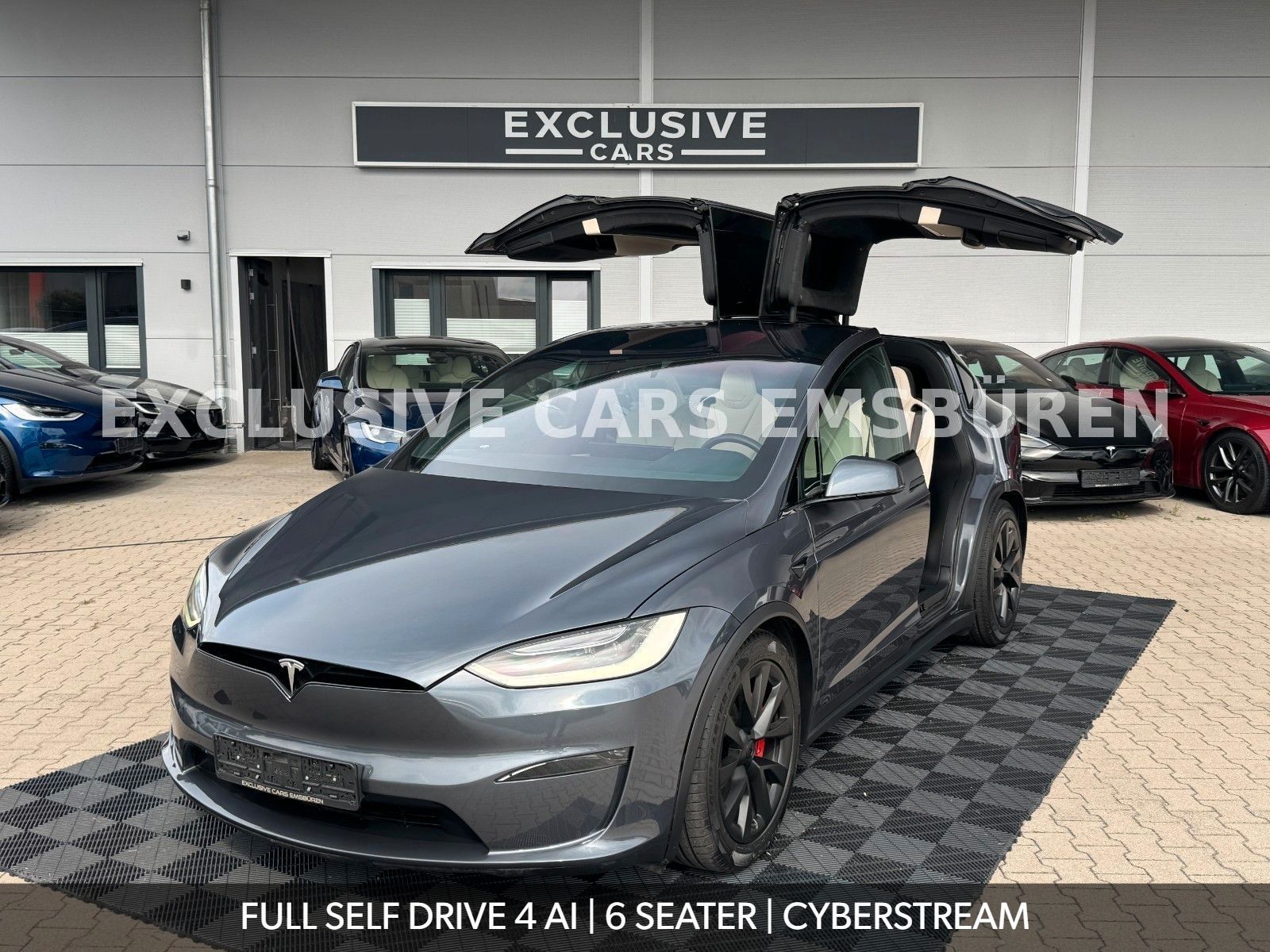 Tesla MODEL X PLAID | FULL SELF DRIVE 4 AI | 6 SEATER